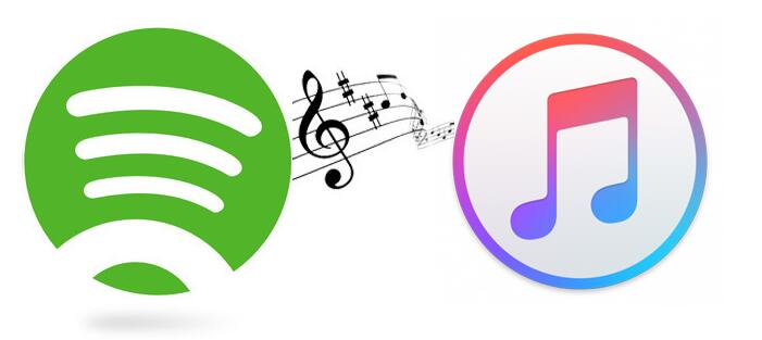 transfer itunes music to spotify